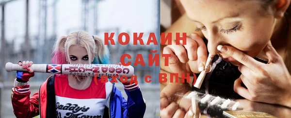 ECSTASY Алзамай