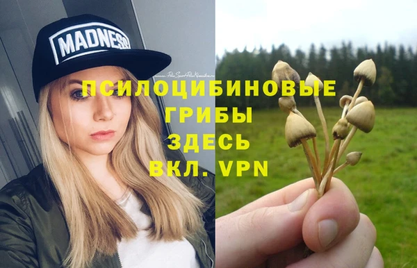 a pvp Алексин