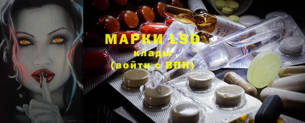 ECSTASY Алзамай