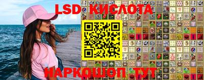 СК Шахты