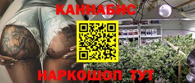 СК Шахты