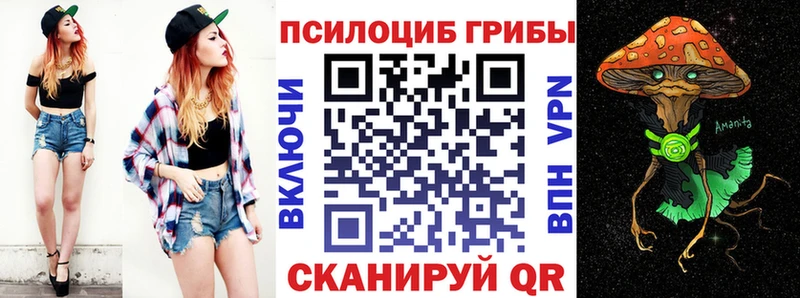 Псилоцибиновые грибы ЛСД  где купить наркотик  kraken ссылки  Алексеевка 
