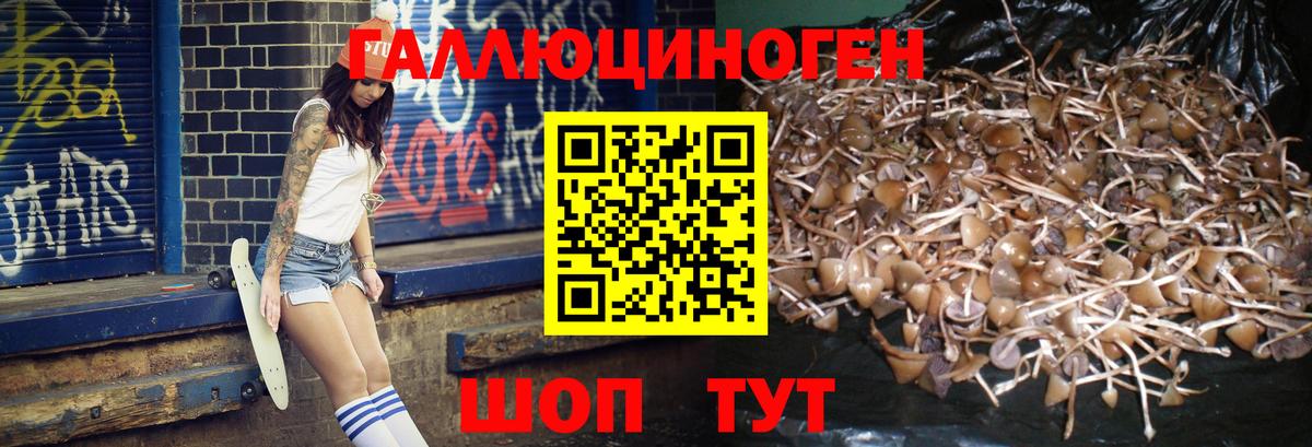 Псилоцибиновые грибы MAGIC MUSHROOMS  Вход с VPN  Алексеевка 